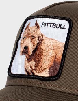 Gorra PITBULL - Gris