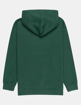 Sudadera Cap. JR CORNELL 3.0 - Trekking Green