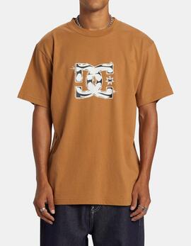 Camiseta DC STAR CLASSIC - Chipmunk