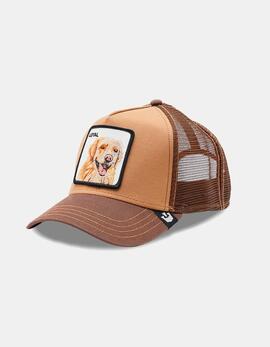Gorra GOORIN BROS THE LOYAL DOG - Brown