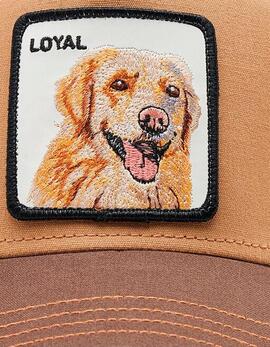 Gorra GOORIN BROS THE LOYAL DOG - Brown
