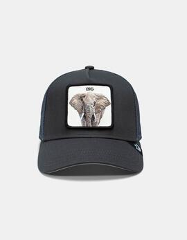 Gorra GOORIN BROS THE BIG ELEPHANT - Charcoal