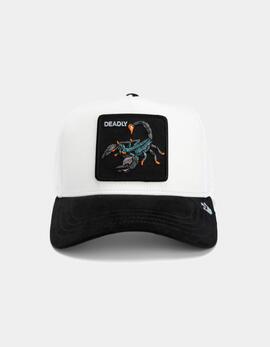 Gorra GOORIN BROS THE SUEDE SCORPION - Creme