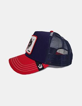 Gorra GOORIN BROS RACING BULL - Navy