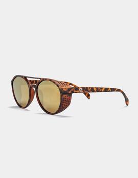 Gafas CHPO RICKARD - Brown