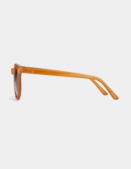 Gafas CHPO BYRON - Brown