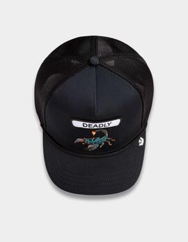Gorra GOORIN BROS GB2 DEADLY SCORP - Void