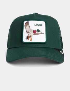 Gorra GOORIN BROS THE LUCKY DUCK - Guard