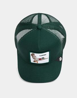 Gorra GOORIN BROS THE LUCKY DUCK - Guard