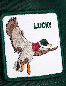 Gorra GOORIN BROS THE LUCKY DUCK - Guard