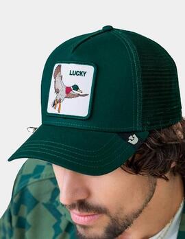Gorra GOORIN BROS THE LUCKY DUCK - Guard