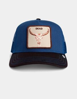 Gorra GOORIN BROS TWO-TONE SKULL - Galactic/Cola