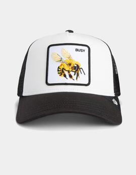 Gorra GOORIN BROS THE BUSY BEE - Dust/Void