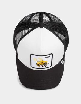 Gorra GOORIN BROS THE BUSY BEE - Dust/Void