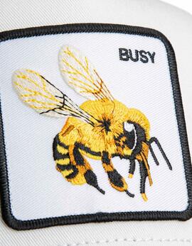 Gorra GOORIN BROS THE BUSY BEE - Dust/Void