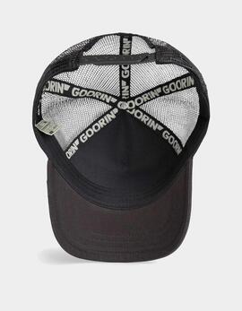 Gorra GOORIN BROS THE BUSY BEE - Dust/Void