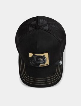 Gorra GOORIN BROS GOLDEN PANTHER - Void