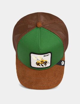 Gorra GOORIN BROS BUSY REMIX - Multicolor