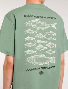 Camiseta DICKIES LARYVILLE - Sea Spray
