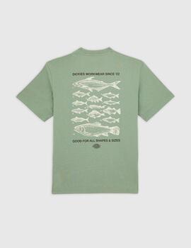 Camiseta DICKIES LARYVILLE - Sea Spray