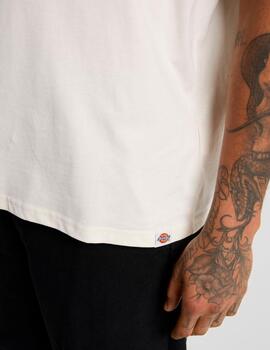 Camiseta DICKIES SNEEDVILLE - Egret