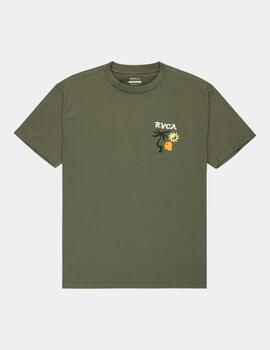 Camiseta RVCA DEEP THINK - Sage Leaf