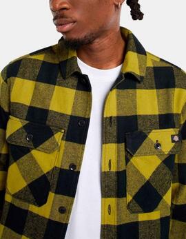 Camisa DICKIES SACRAMENTO - Evergreen Sprig