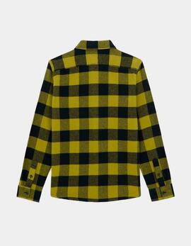 Camisa DICKIES SACRAMENTO - Evergreen Sprig