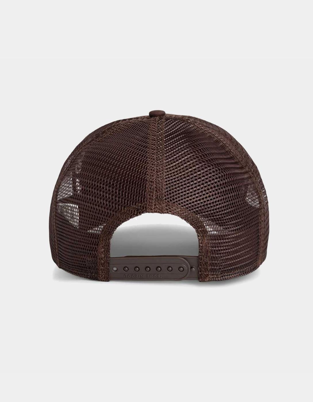 Gorra GOORIN BROS THE CANCELLED SKULL - Ground