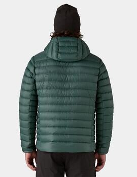 Cazadora PATAGONIA DOWN SWEATER HOODY - Cascade Green