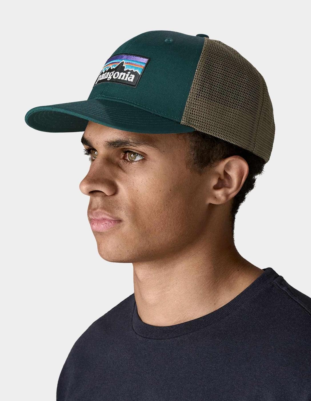 Gorra PATAGONIA P-6 LOGO TRUCKER - Cascade Green
