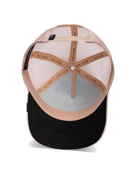 Gallery a22492 3el2raqr