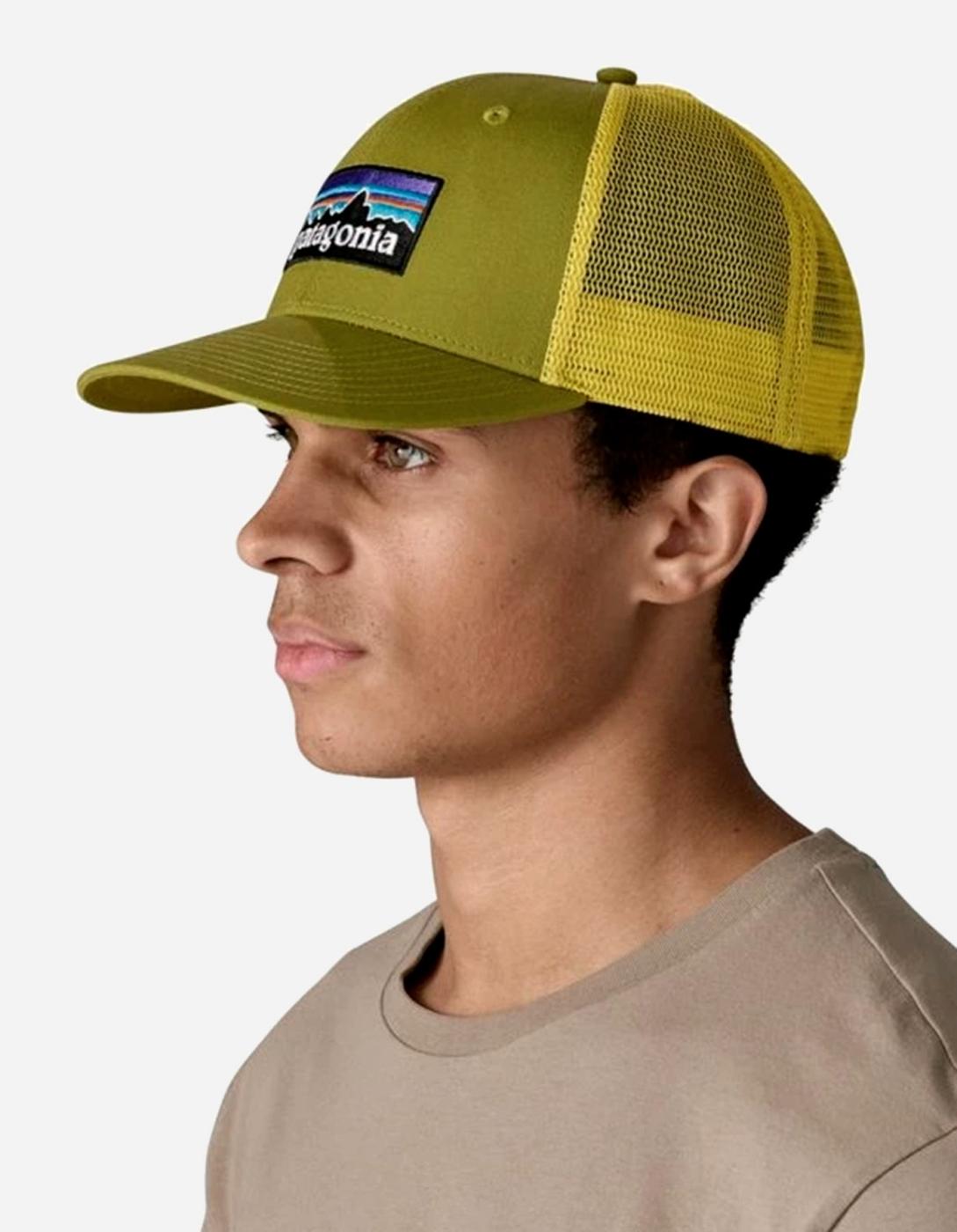 Gorra PATAGONIA P-6 LOGO TRUCKER - Gumtree Green