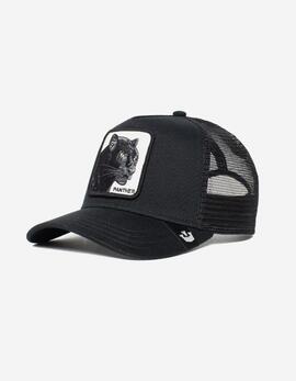 Thumb a23935 2rh6b8rs