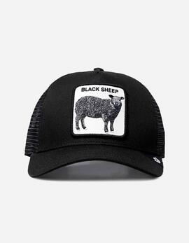 Thumb a23936 qgxyhcdm