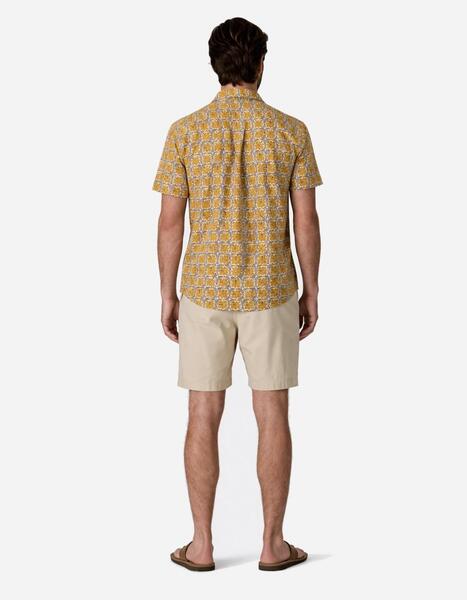 Gallery a23504 rnut3oto